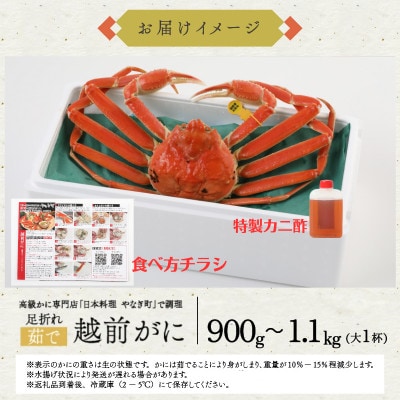 【11～12月に発送】蟹料理店の訳あり茹で越前がにズワイガニ大1杯(900g～1.1kg、姿で発送)