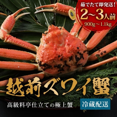【11～12月に発送】福井老舗カニ料理店の「越前ずわいがに」大1杯(900g～1.1Kg、姿で発送)