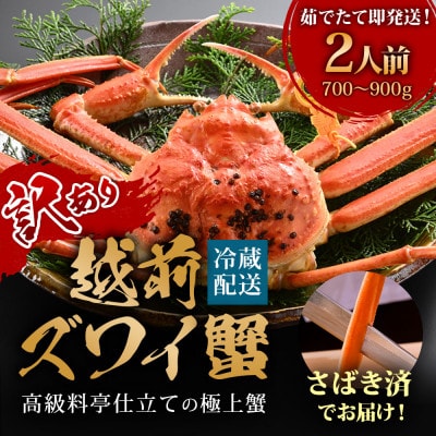 【11月～12月に発送】【捌き済で楽々】茹で越前がにズワイガニ中1杯(700～900g) 訳あり