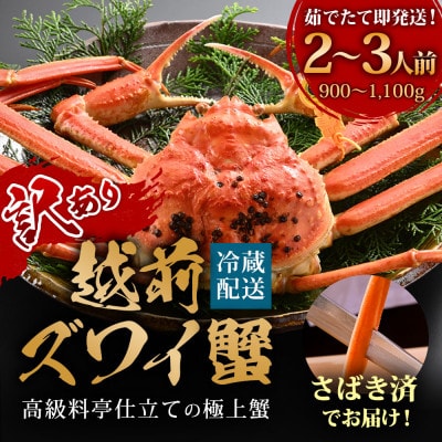 【1～3月に発送】【捌き済で楽々】茹で越前がにズワイガニ大1杯(900～1.1kg) 訳あり