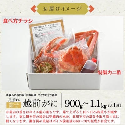 【1～3月に発送】【捌き済で楽々】茹で越前がにズワイガニ大1杯(900～1.1kg) 訳あり