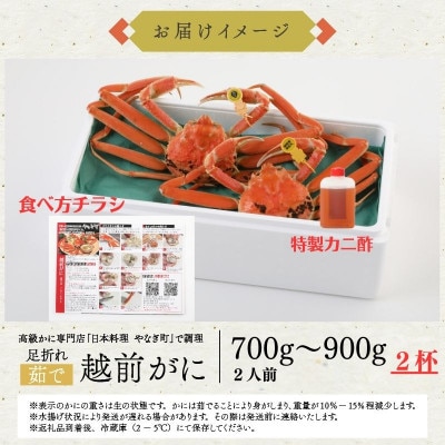 【11～12月発送】【2杯セット】蟹料理店の訳あり茹で越前がにズワイガニ 中700～900g足折