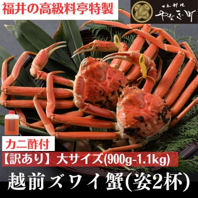 【11～12月発送】【2杯セット】蟹料理店の訳あり茹で越前がにズワイガニ 大900g～1.1kg足折
