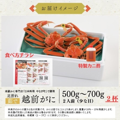 【1～3月発送】【2杯セット】蟹料理店の訳あり茹で越前がにズワイガニ 小500～700g足折