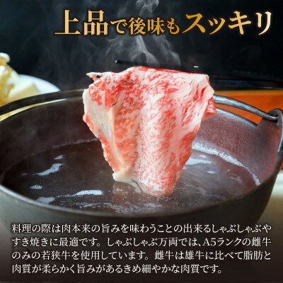 若狭牛A5ランクしゃぶしゃぶ用ロース　800g