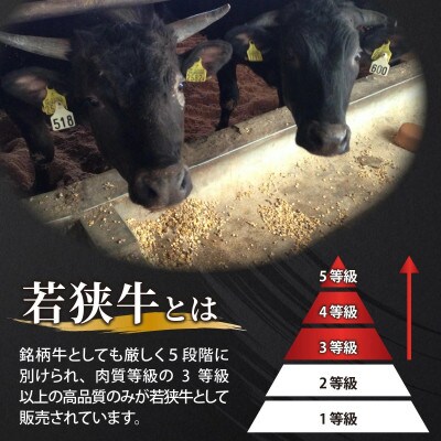 若狭牛A5ランクしゃぶしゃぶ用ロース　800g