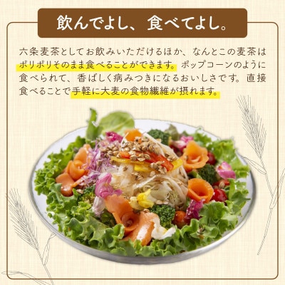 福井産六条大麦　そのまま食べられるおいしい麦茶とおおむぎママの麦ストロー(R)