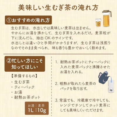 福井産六条大麦　そのまま食べられるおいしい麦茶とおおむぎママの麦ストロー(R)