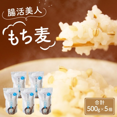 腸活美人 福井産　六条大麦もち麦 5個セット