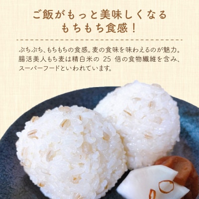 腸活美人 福井産　六条大麦もち麦 5個セット