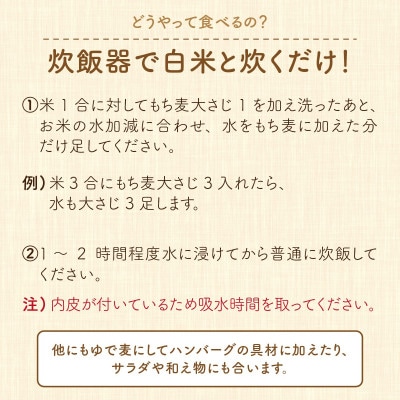 腸活美人 福井産　六条大麦もち麦 5個セット