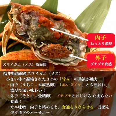 訳あり　越前産せいこがに甲羅盛(70g前後×3個)合計3個
