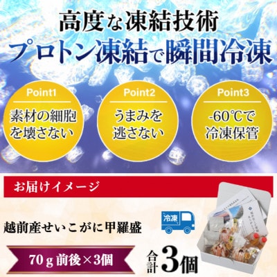 訳あり　越前産せいこがに甲羅盛(70g前後×3個)合計3個