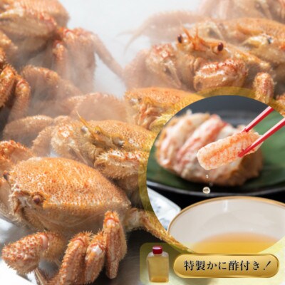 【さとふる限定】北陸産毛がに甲羅盛　オスメス混合3個 合計450g以上
