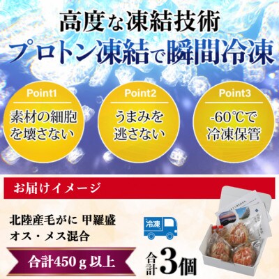 【さとふる限定】北陸産毛がに甲羅盛　オスメス混合3個 合計450g以上