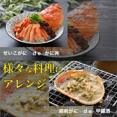 訳あり　越前がに甲羅盛夫婦セット(越前がに105g前後×1個+せいこがに55g前後×1個)合計2個