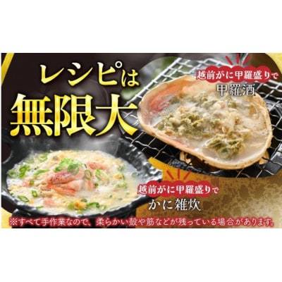 訳あり　越前がに甲羅盛夫婦セット(越前がに105g前後×1個+せいこがに55g前後×1個)合計2個