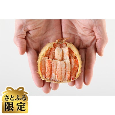 【さとふる限定】北陸産オス毛がに甲羅盛　230g前後×1個