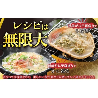 [トライアル返礼品][訳あり]越前がに甲羅盛(越前がに甲羅盛145g前後×1個)合計1個