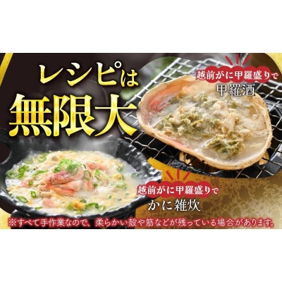 【さとふる限定】[トライアル返礼品][訳あり]越前がに甲羅盛(越前がに甲羅盛175g前後×2個)