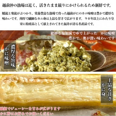 【さとふる限定】[トライアル返礼品][訳あり]越前がに甲羅盛(越前がに甲羅盛175g前後×2個)