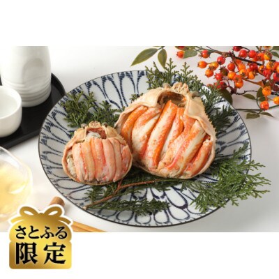 【さとふる限定】日本海産ずわいがに甲羅盛夫婦セット:オス145g前後+メス70g前後