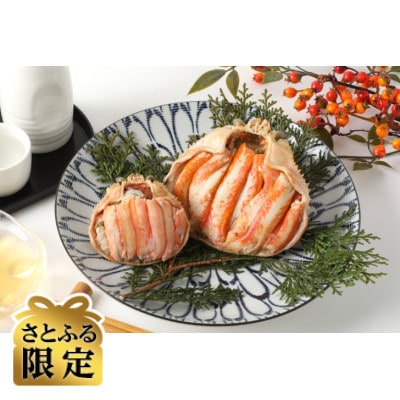 【さとふる限定】日本海産ずわいがに甲羅盛夫婦セット:オス175g前後+メス85g前後