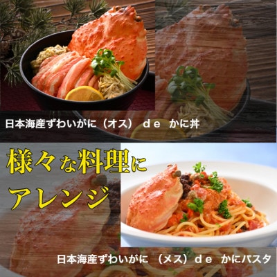 【さとふる限定】日本海産ずわいがに甲羅盛夫婦セット:オス175g前後+メス85g前後