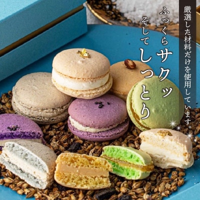 【ふるさと納税】福井の原材料にこだわった マカロンアソート 5個セット Vol.2