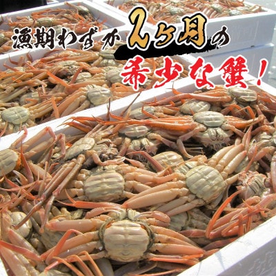 せいこがに甲羅盛り5個入り