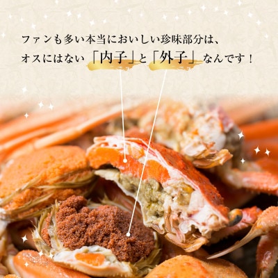 せいこがに甲羅盛り5個入り