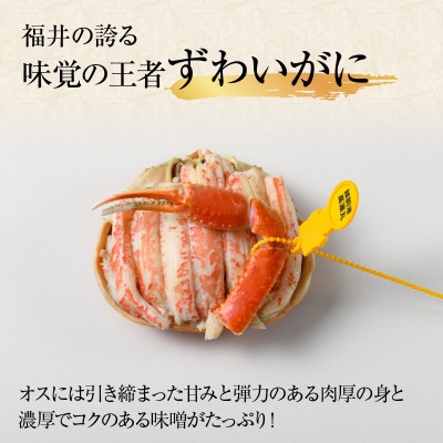 甲羅盛り夫婦食べ比べセットずわい蟹2個・せいこ蟹2個