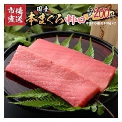 【市場直送】高鮮度急速冷凍 国産本まぐろ 中トロ 約100g(柵)×2P