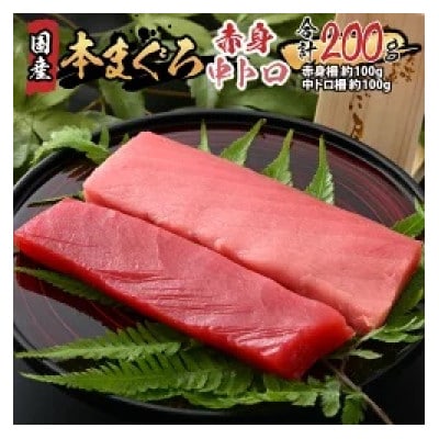 【市場直送】高鮮度急速冷凍 国産本まぐろ赤身&中トロ2種セット 各約100g(柵) 合計約200g