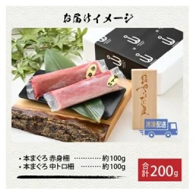 【市場直送】高鮮度急速冷凍 国産本まぐろ赤身&中トロ2種セット 各約100g(柵) 合計約200g