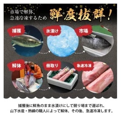 【市場直送】高鮮度急速冷凍 国産本まぐろ赤身&中トロ2種セット 各約100g(柵) 合計約200g