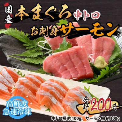 【市場直送】本まぐろ中とろ(柵)100gとお刺身サーモン(柵)100gセット