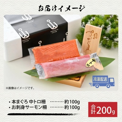 【市場直送】本まぐろ中とろ(柵)100gとお刺身サーモン(柵)100gセット