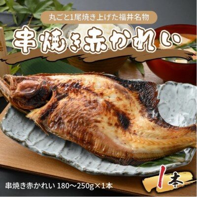 丸ごと1尾焼き上げた福井名物 串焼き赤かれい 1本