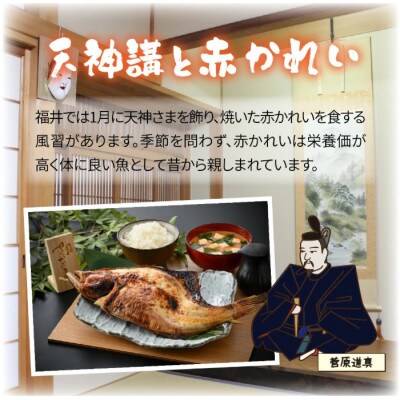 丸ごと1尾焼き上げた福井名物 串焼き赤かれい 1本