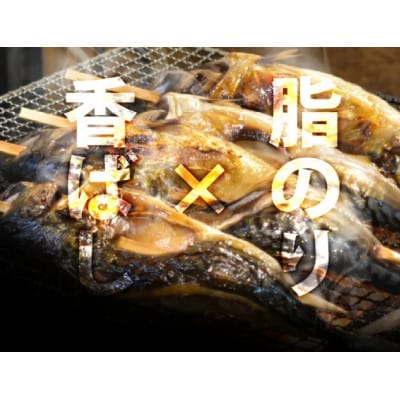 自家製 手作り 焼き鯖寿司 (柚子入) 1本