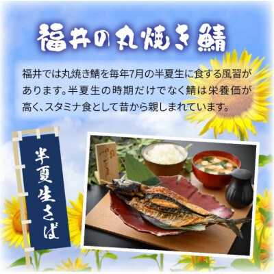 福井名物 串焼き鯖と串焼き赤かれいセット 合計2本
