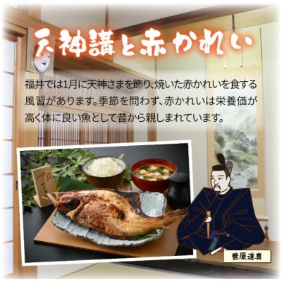 福井名物 串焼き鯖と串焼き赤かれいセット 合計2本