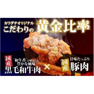 ざくざくキャベツのメンチカツ 20個セット