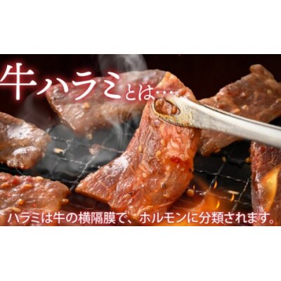 牛肉ハラミ 1.0kg 小分け 味付き
