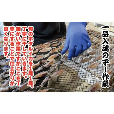 越前産 ほたるいか 素干し 50gx3パック
