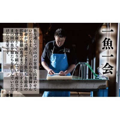 越前産 ほたるいか 素干し 50gx3パック