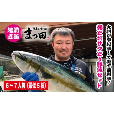 大将におまかせ!朝どれサクどり鮮魚6～7人前 【4月～10月発送】