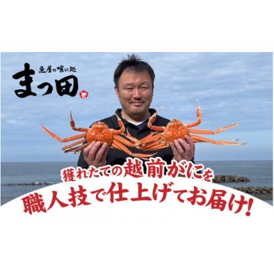 まっ田の越前がに 900g×1杯【11月～3月配送】