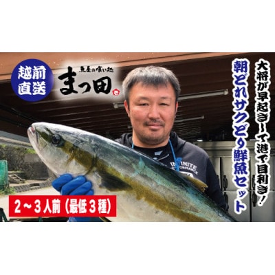 大将におまかせ!朝どれサクどり鮮魚2～3人前 【4月～10月発送】